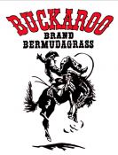 Bermudagrass - Buckaroo Blend