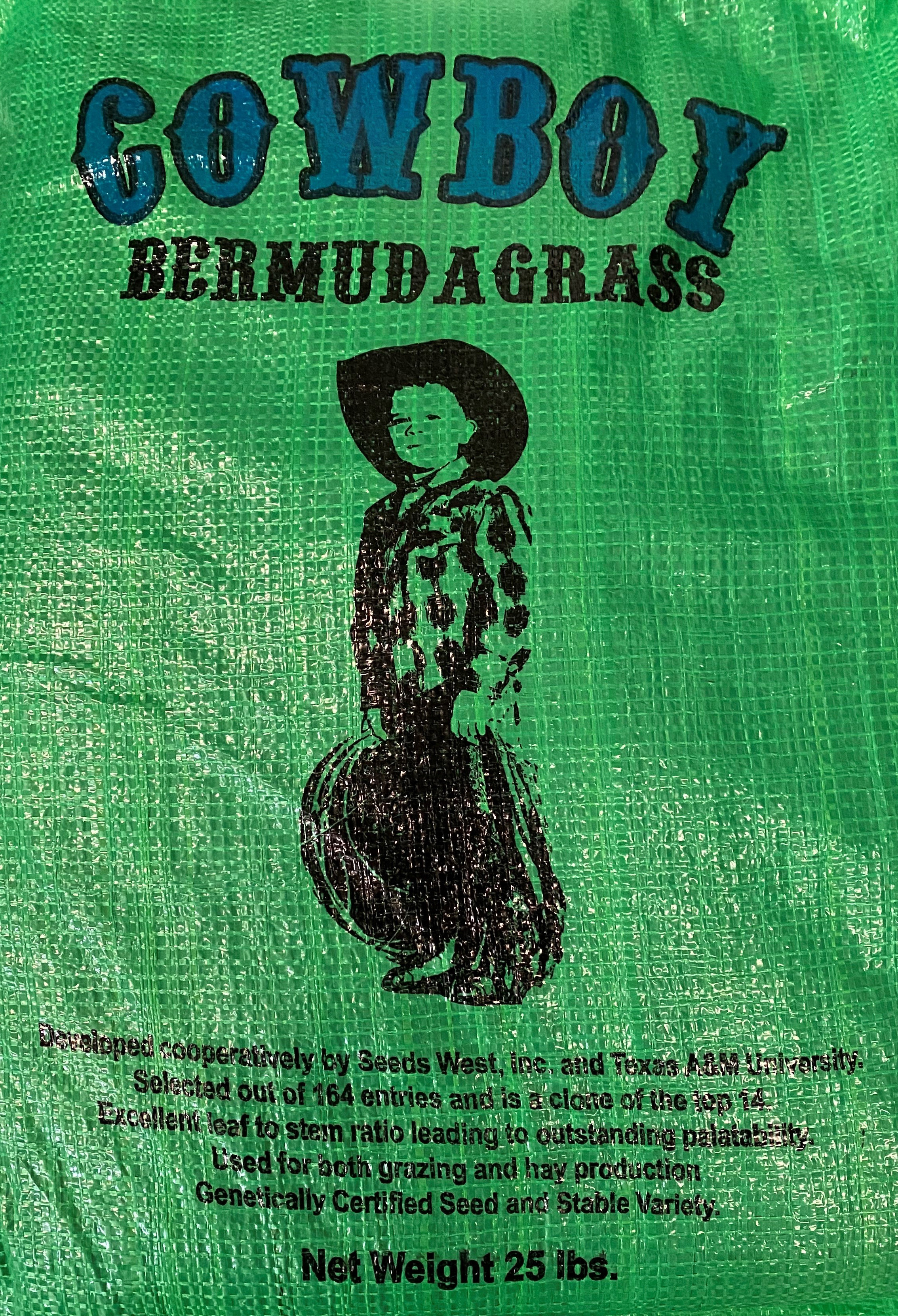 Cheyenne II Bermuda Grass Seed - Certified (Pre-Order) –