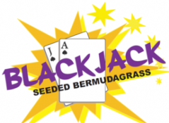 Bermudagrass - Blackjack (Coated)
